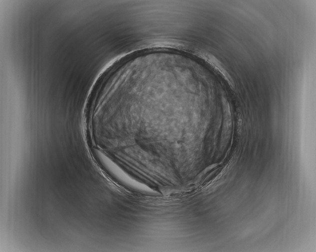 X0000112201024200908281435