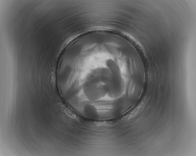 X0000112201025200908281435