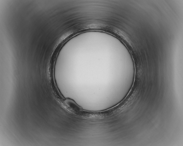 X0000112201026200908281435