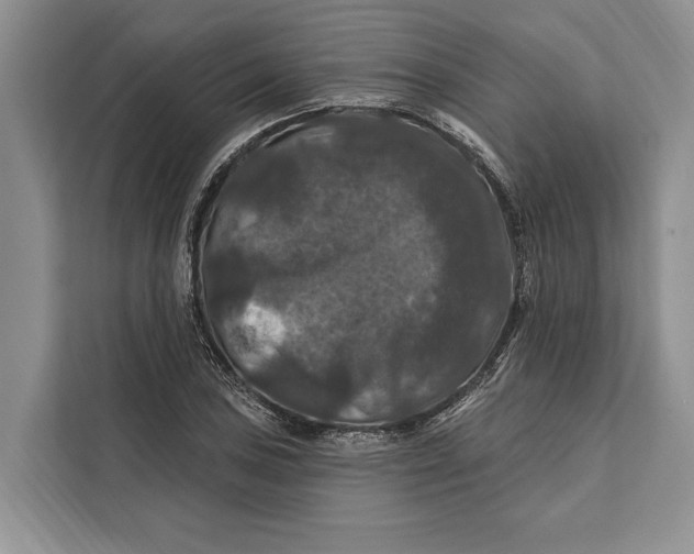 X0000112201027200908281435