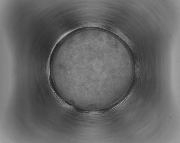 X0000112201028200908281435