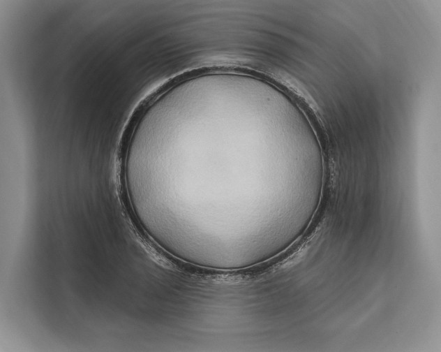 X0000112201029200908281435