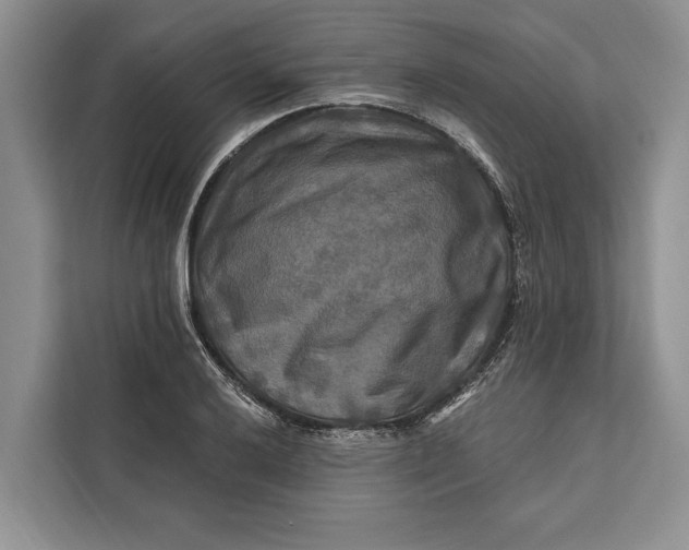 X0000112201032200908281435