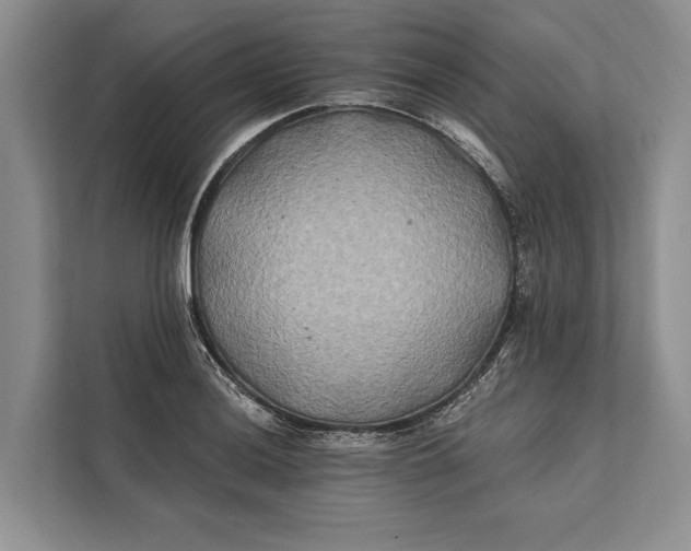 X0000112201036200908281435