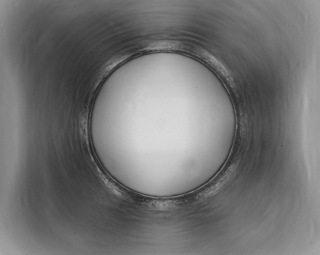 X0000112201041200908281435