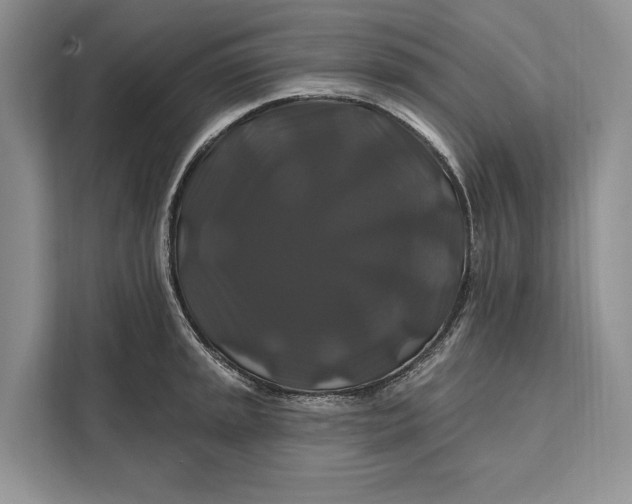 X0000112201045200908281435