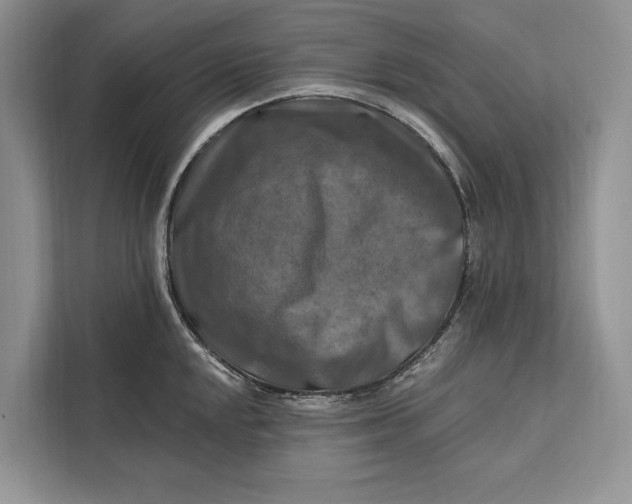 X0000112201048200908281435