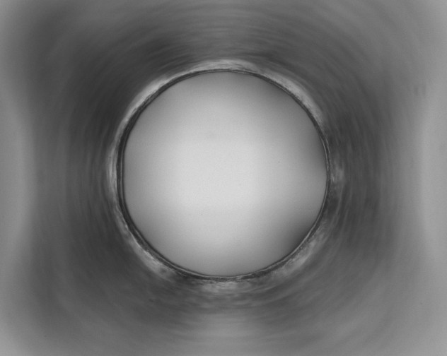 X0000112201054200908281435