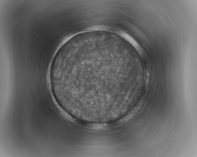 X0000112201055200908281435