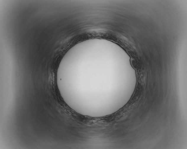 X0000112201061200908281435