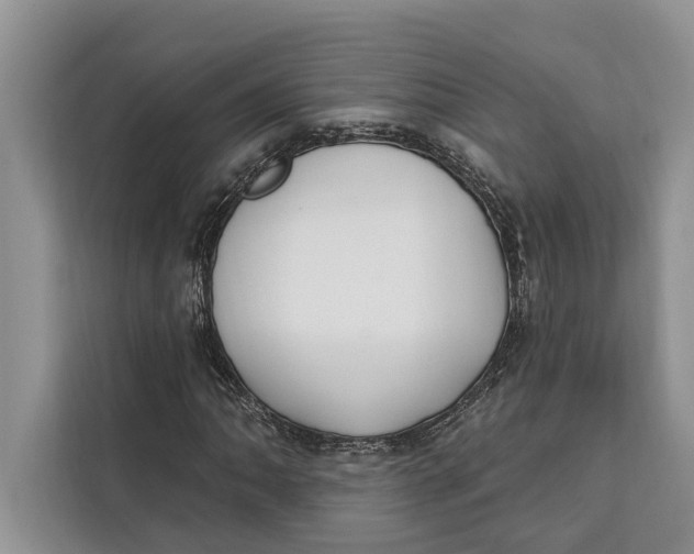 X0000112201062200908281435