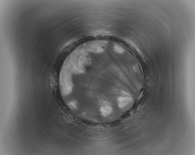 X0000112201063200908281435