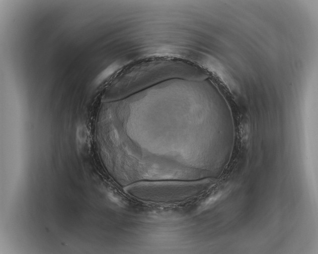 X0000112201064200908281435