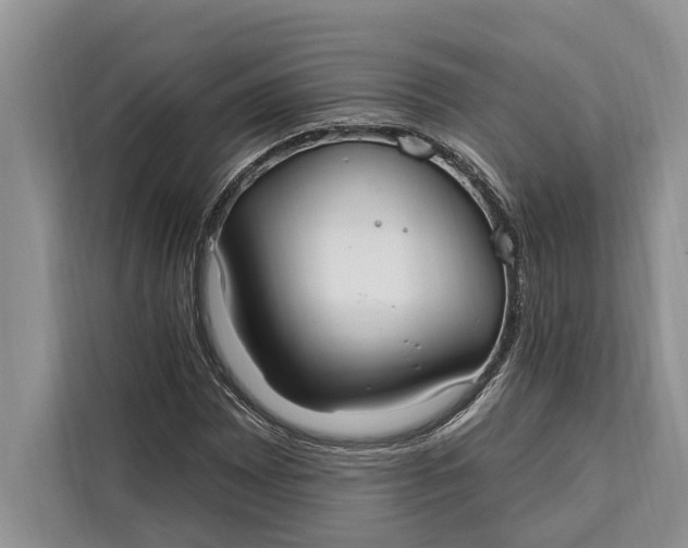 X0000112201065200908281435