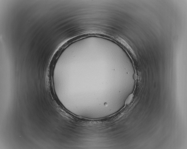 X0000112201068200908281435