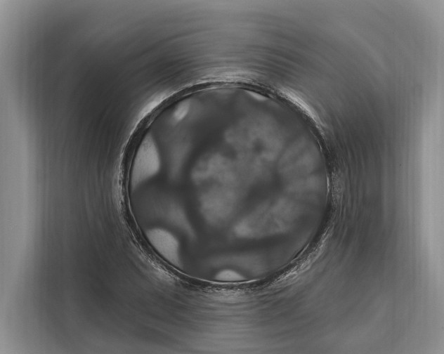 X0000112201071200908281435