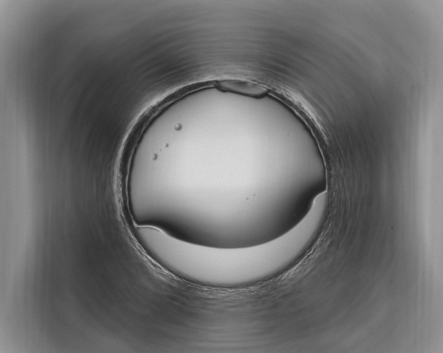 X0000112201072200908281435