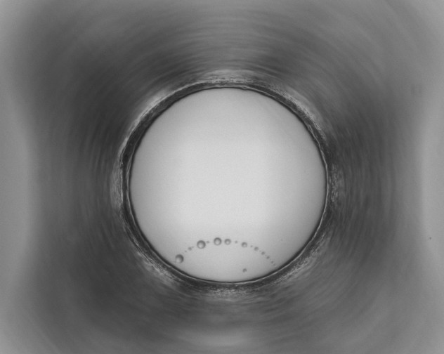 X0000112201075200908281435