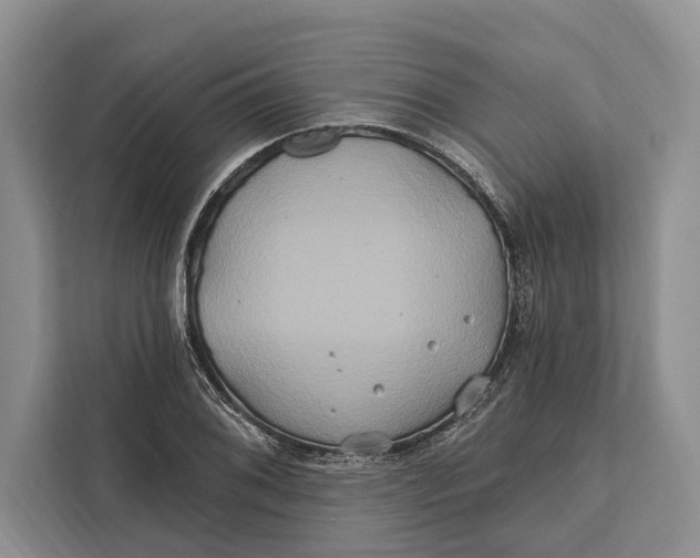 X0000112201076200908281435