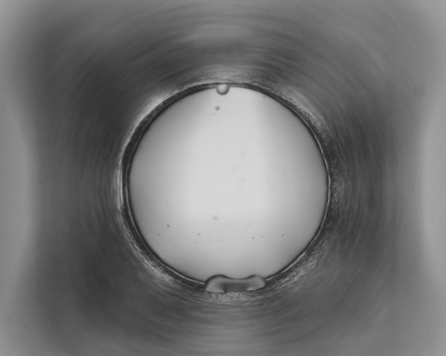 X0000112201079200908281434