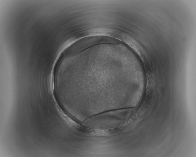 X0000112201080200908281434