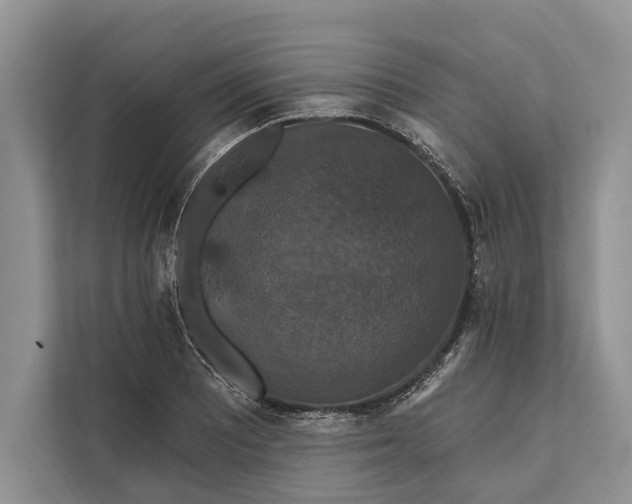 X0000112201081200908281434