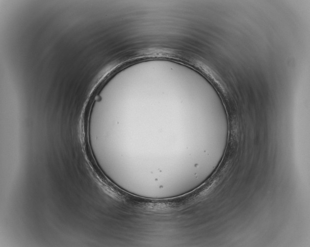 X0000112201082200908281434