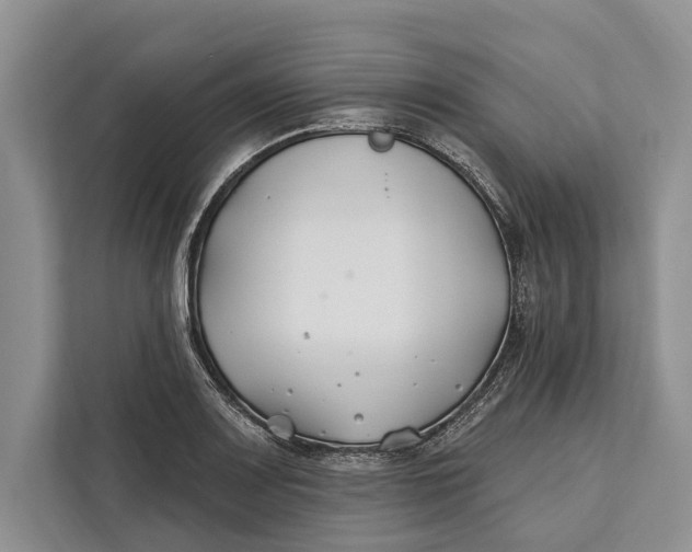 X0000112201083200908281434