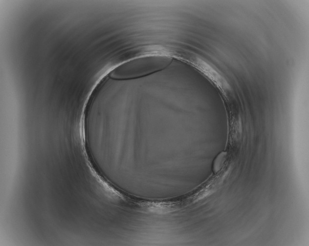 X0000112201084200908281434