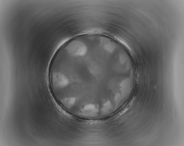 X0000112201087200908281434