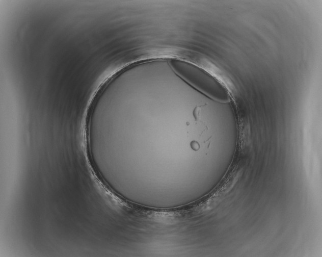 X0000112201088200908281434