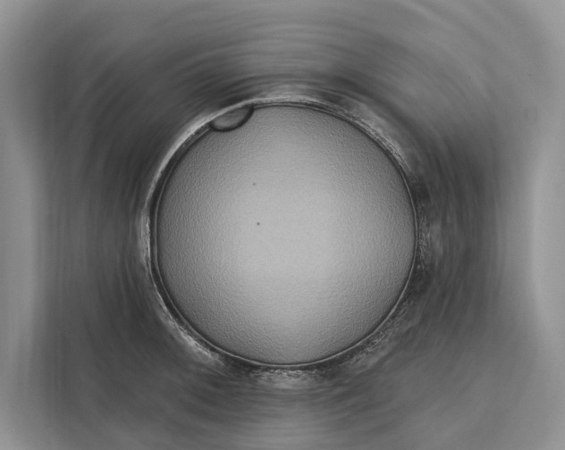 X0000112201092200908281434