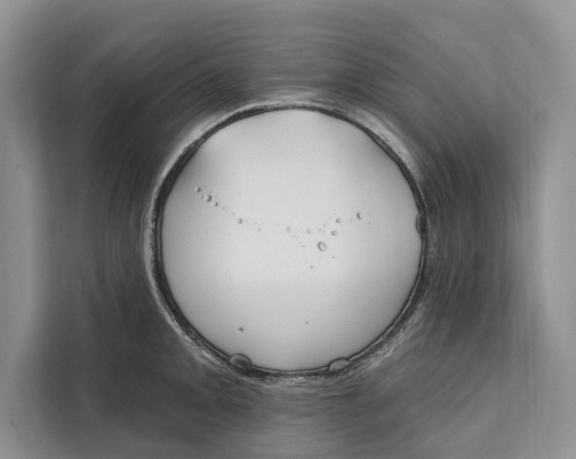 X0000112201093200908281434