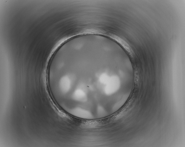 X0000112201094200908281434