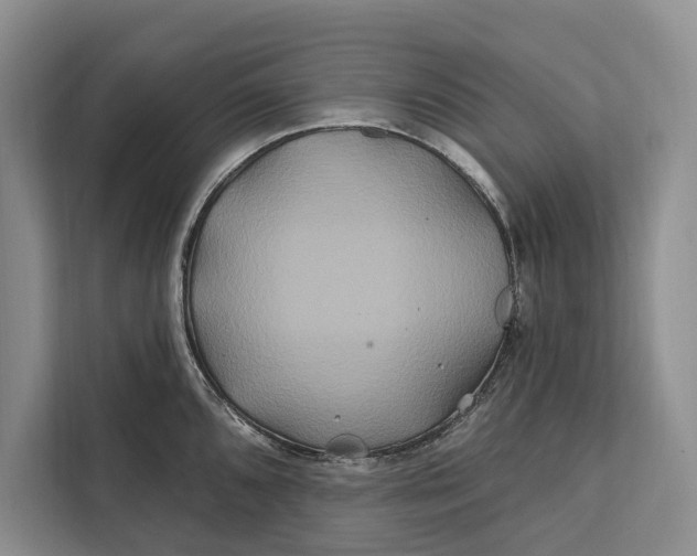 X0000112201096200908281434