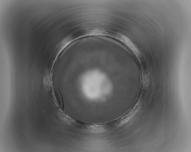 X0000112201097200908281434