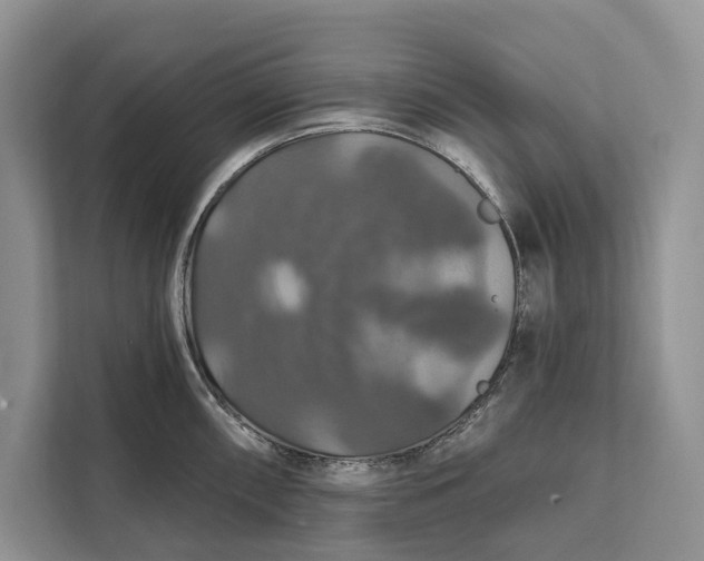 X0000112201098200908281434