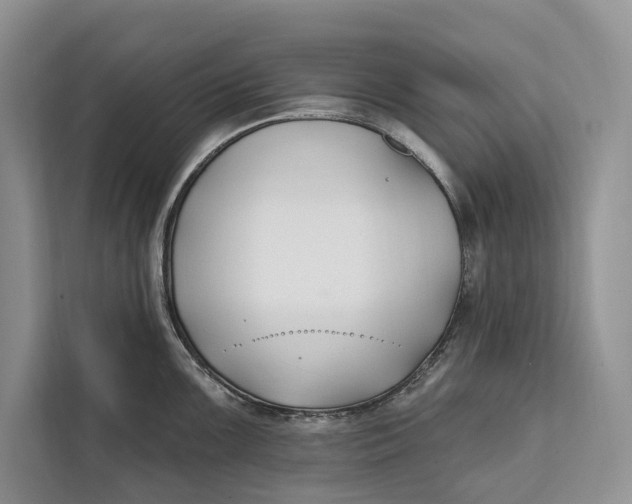 X0000112201099200908281434