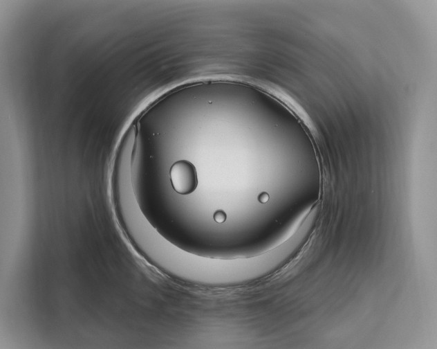 X0000112201101200908281434