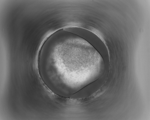 X0000112201104200908281434