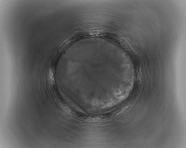 X0000112201106200908281434