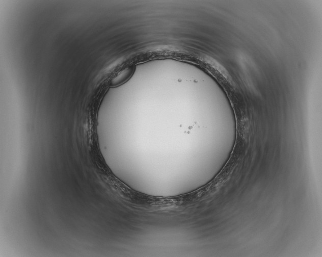 X0000112201111200908281434