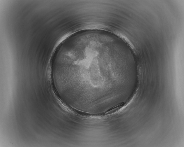 X0000112201114200908281434