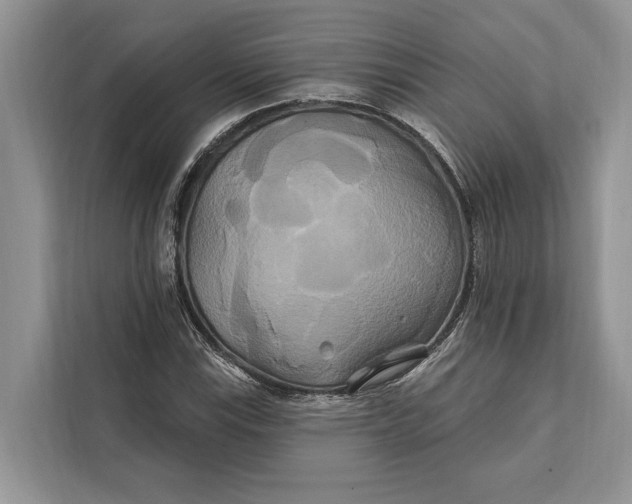 X0000112201115200908281434