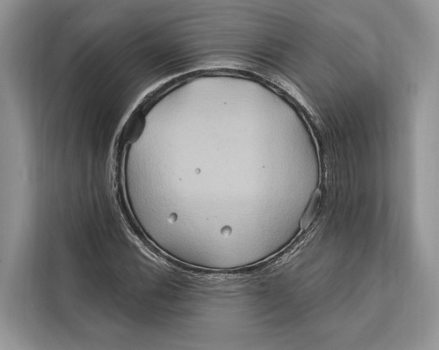 X0000112201116200908281434