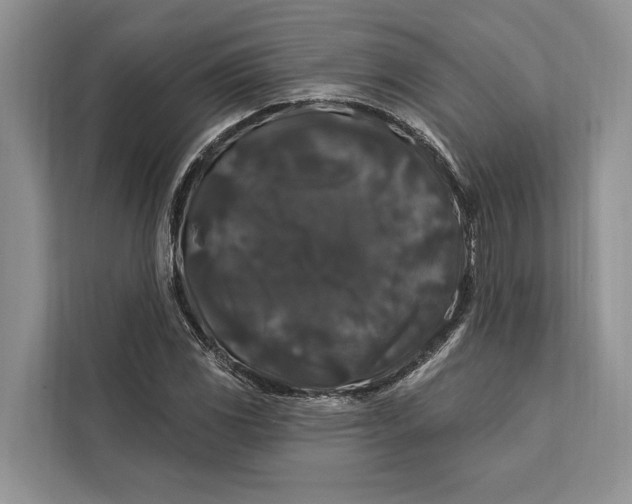 X0000112201117200908281434