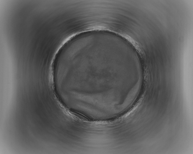 X0000112201118200908281434