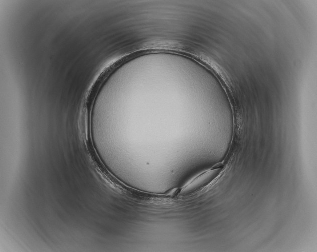 X0000112201123200908281434