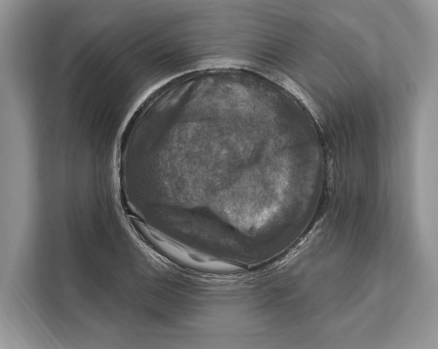 X0000112201124200908281434