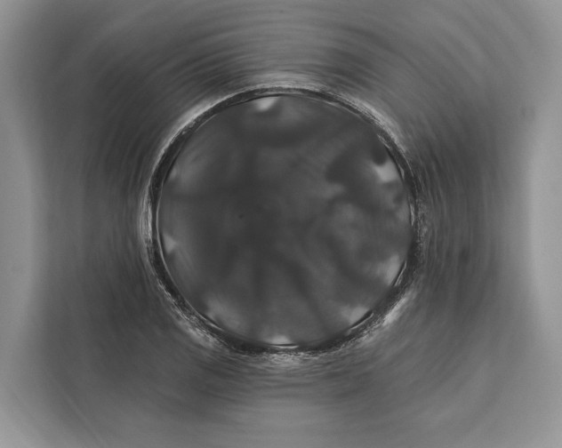 X0000112201125200908281434